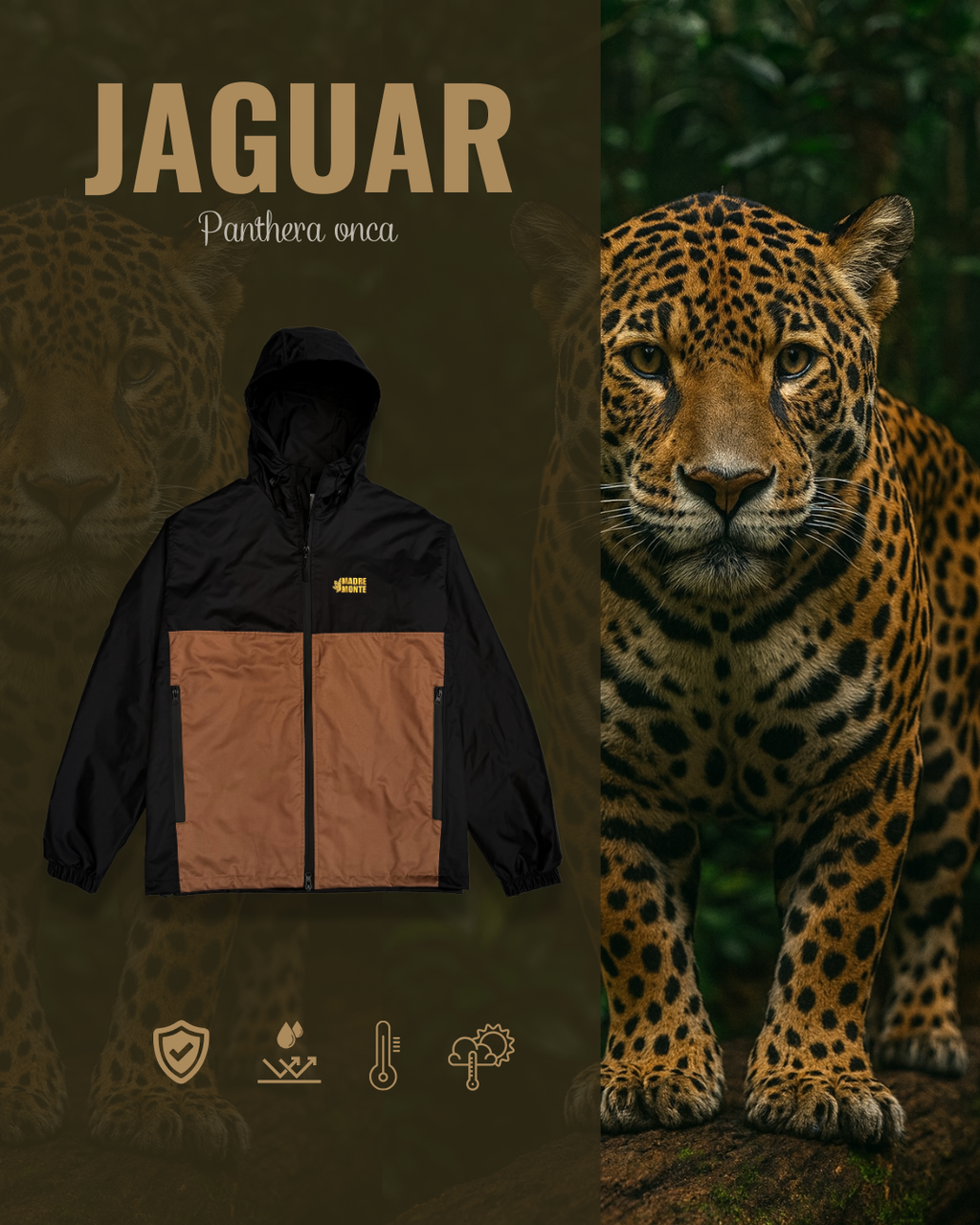 Chaqueta JAGUAR