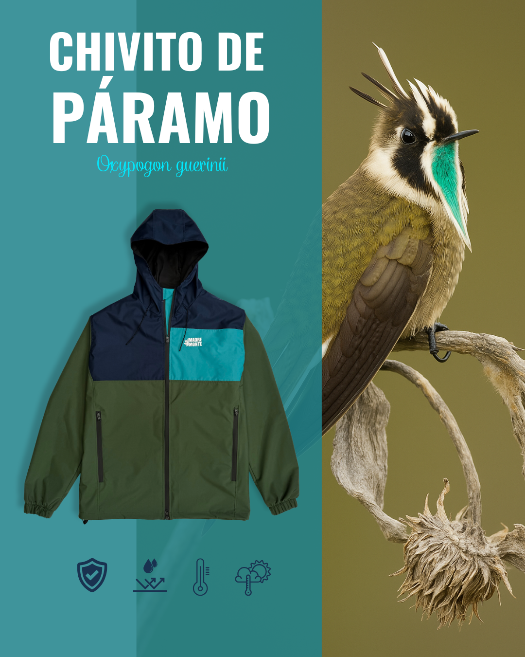 Chaqueta CHIVITO DE PÁRAMO