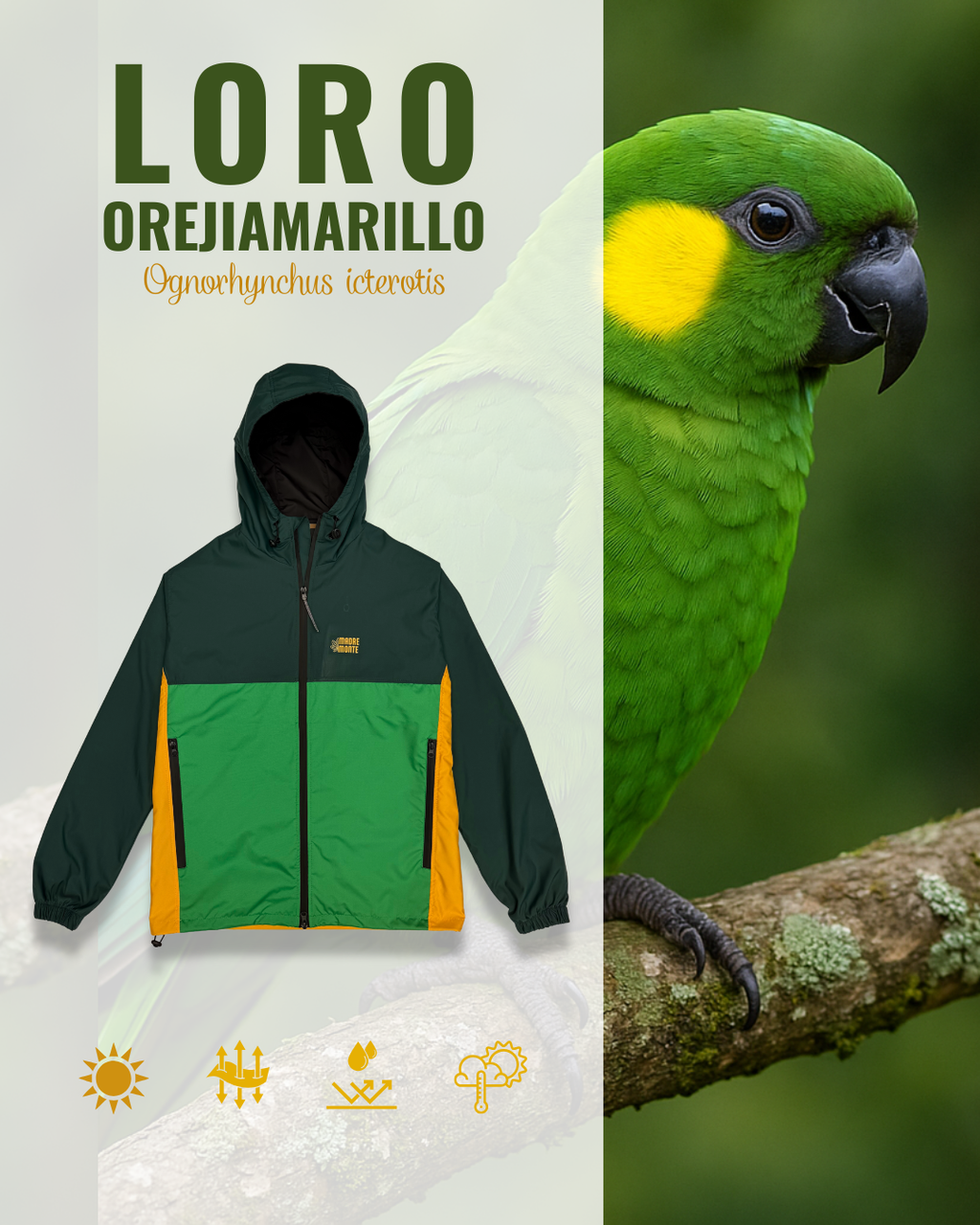 Chaqueta LORO OREJIAMARILLO
