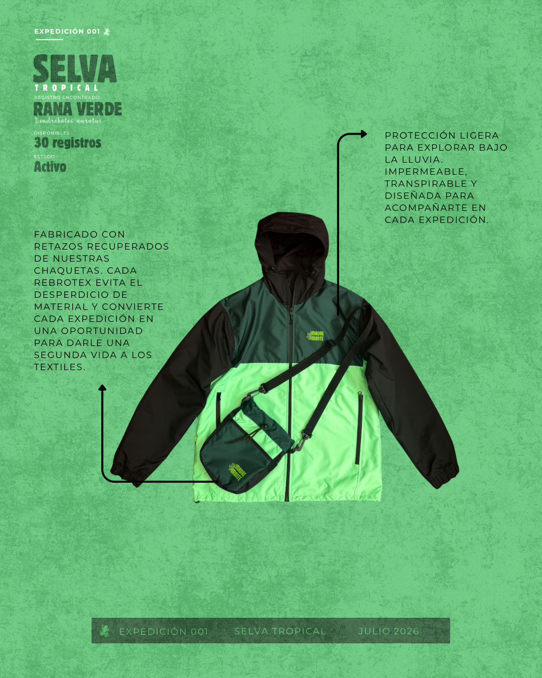 Chaqueta RANA VERDE Y NEGRA