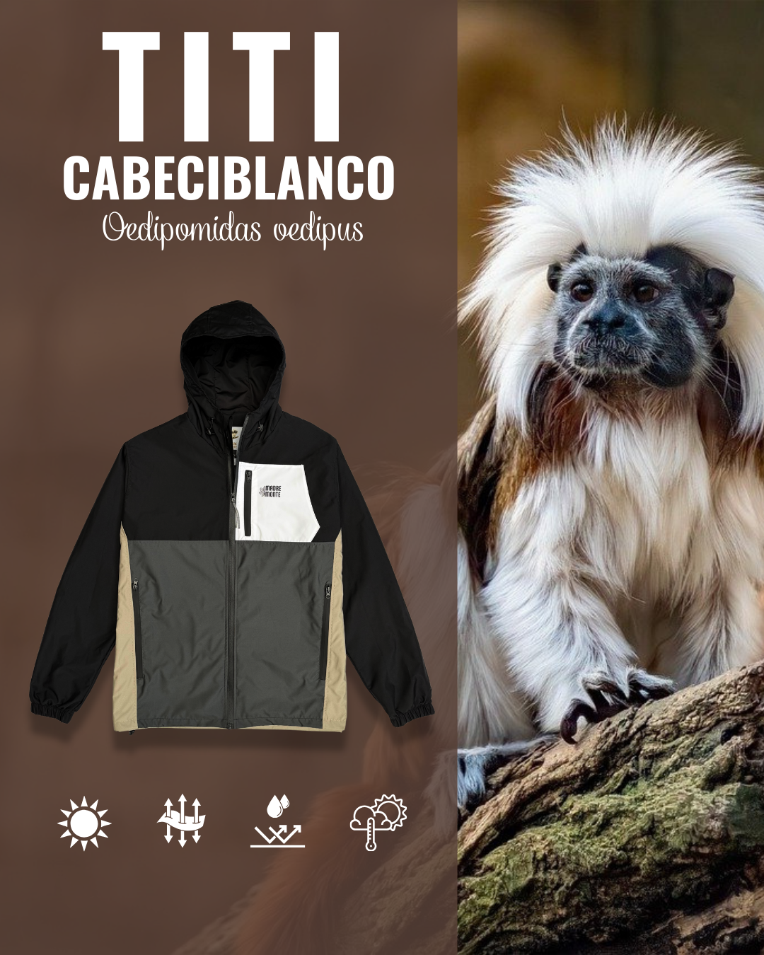 Chaqueta TITI CABECIBLANCO
