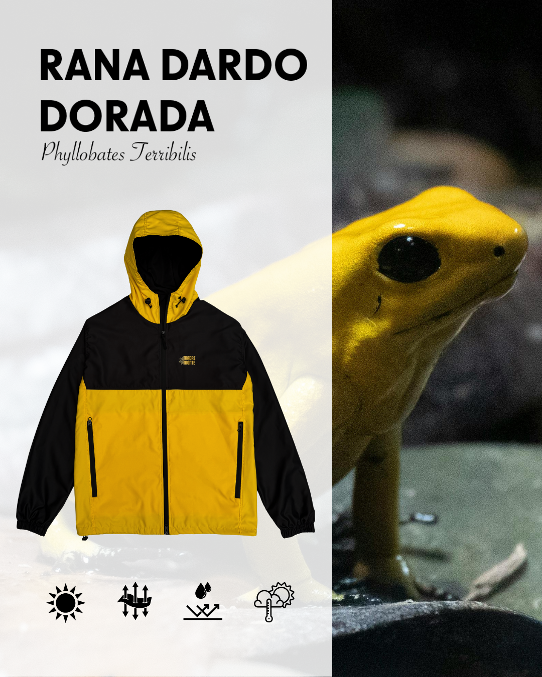 Chaqueta RANA DORADA