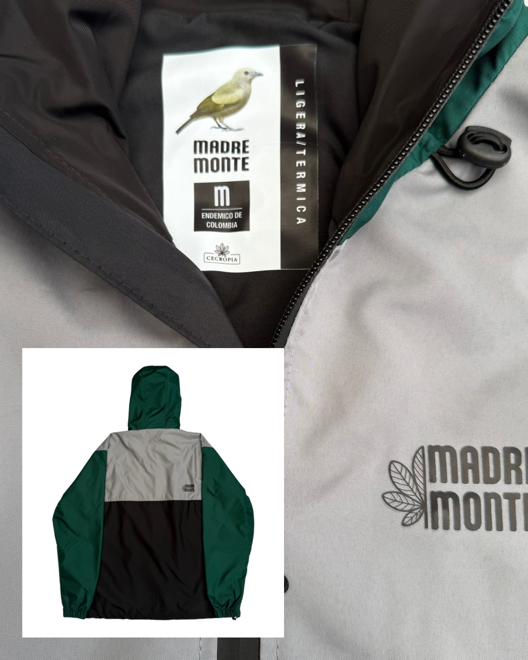 Chaqueta TÁNGARA PALMERA