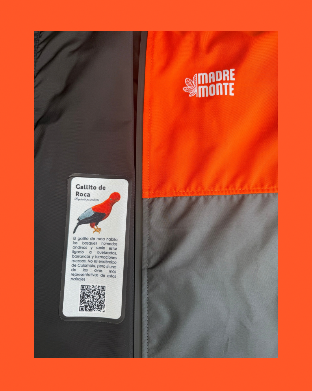 Chaqueta GALLITO DE ROCA