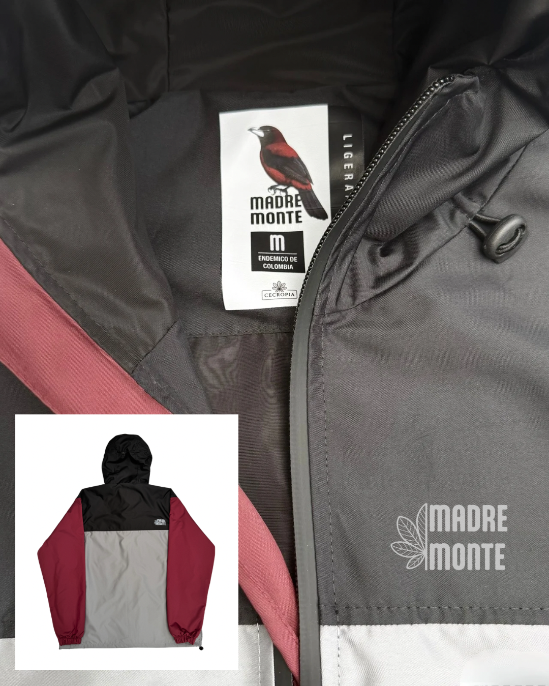 Chaqueta PICO DE PLATA