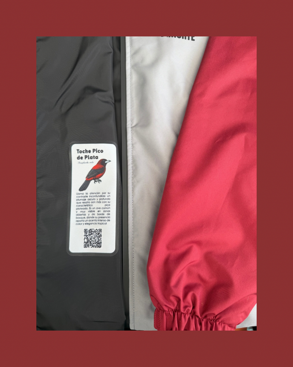 Chaqueta PICO DE PLATA