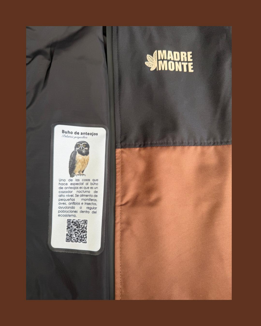Chaqueta BÚHO DE ANTEOJOS
